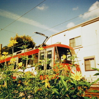 世田谷⇔下高井戸編：世田谷線沿線のおすすめスポットまとめ