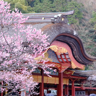 学問の神様【太宰府天満宮】をお参りしたら...ぶらぶら周辺おすすめスポット♪
