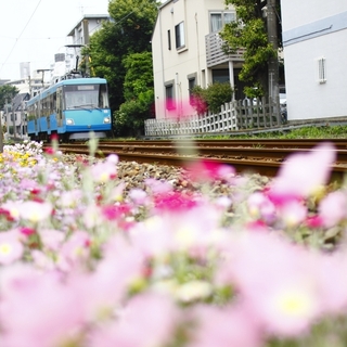 歴史とグルメを堪能！【世田谷線】ぶらり途中下車の旅♪