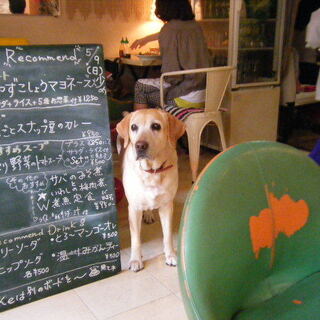 ワンコと一緒に楽しめるお店もあるよ♪ 駒沢公園周辺のお洒落なカフェ5選