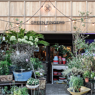 グリーンで彩るおしゃれ空間。GREEN FINGERS（グリーンフィンガーズ）に注目！