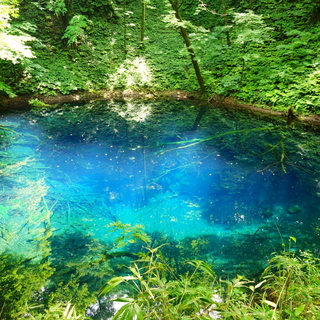 春夏にオススメしたい♪青森のおすすめ観光地はここだよ！