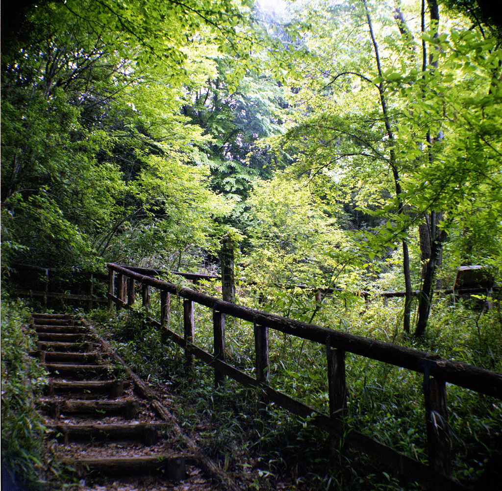 心が落ち着く休日を 癒しの日帰り関東圏おでかけスポット5選 キナリノ