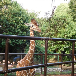 いつもと違う、横浜プラン♪無料動物園にランチ居酒屋【野毛山】のおすすめスポット 