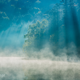 神秘的な苔と原生林の世界を白駒池に見に行こう！
