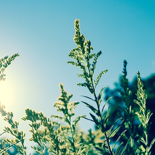 さらりと潔い。“自立した女性”を目指す10の知恵