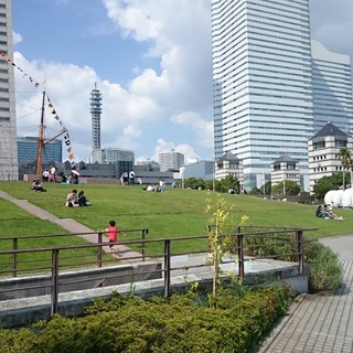 芝生にごろん♪ピクニックにもおすすめ【みなとみらい】の緑ゆたかな公園ガイド