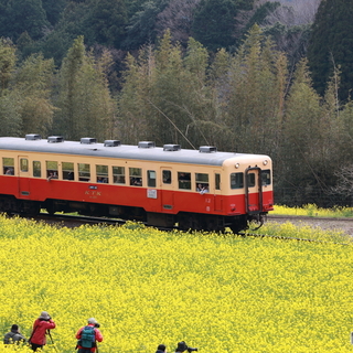 一足先に春を見つけに。くつろぎと癒しを求めて、千葉・南房総へプチトリップ