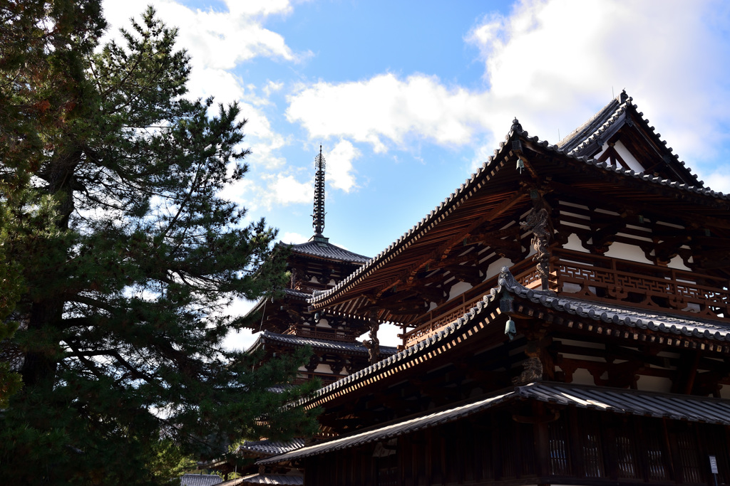 295cfaae041a2415aee23af452140d