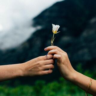 「ごめんね」はこうして伝える。私らしい"仲直り"の方法 