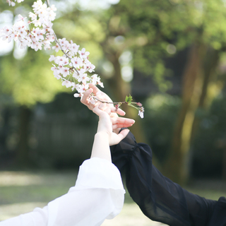 しなやかに、折れずに生きるために。ストレスをやわらげる≪4つの考え方≫