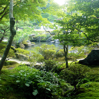 梅雨の時期が一番美しい☆青々とした苔を楽しめる京都のお寺6選