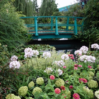 喧騒を逃れて、緑豊かなオアシスへ。東京都内にある「屋上庭園」6選