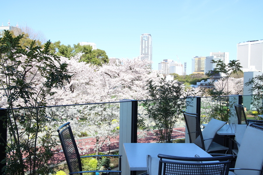 お花見気分で訪れたい テラス席のある 桜が見えるカフェ 東京 キナリノ