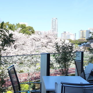 お花見気分で訪れたい♪ テラス席のある《桜が見えるカフェ＠東京》