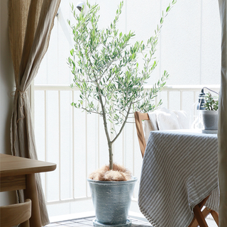 穏やかでぬくもりのある暮らし。モノトーンで作る北欧インテリア