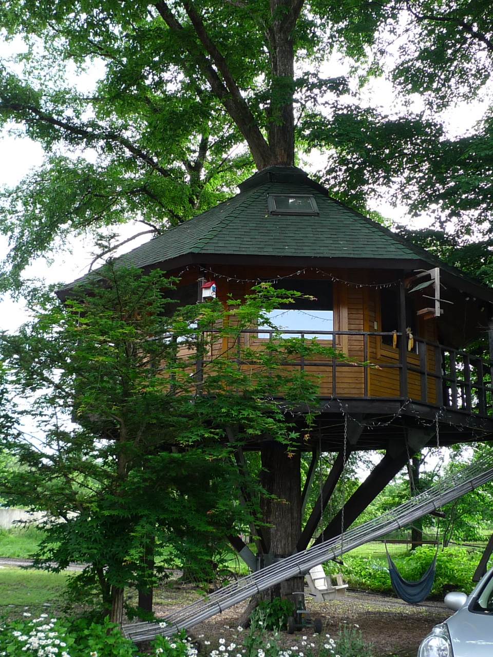 大自然を満喫できる 森の中にあるホテルやカフェでゆったりとした時間を過ごしませんか キナリノ 大自然を満喫できる 森の中にあるホテルやカフェでゆったりとした時間を過ごしませんか キナリノ