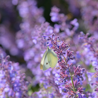 無理せずゆったり♪子連れでも北海道を満喫できるおすすめスポット