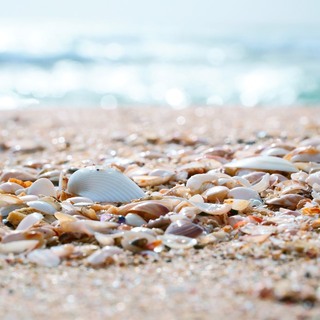 キレイな海に会いにいこ♪ この夏、家族や友だちと訪れたい中部地方の海水浴場6選