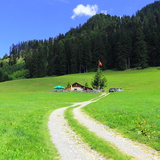 「アルプスの少女ハイジ」の舞台 ～スイス・マイエンフェルト近郊の見どころ～
