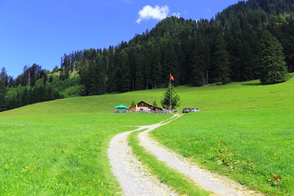 アルプスの少女ハイジ の舞台 スイス マイエンフェルト近郊の見どころ キナリノ