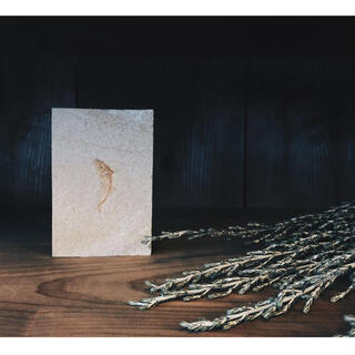 珈琲・器・季節の生花。”好き”が見つかるお店『from afar 倉庫 01』を訪れて