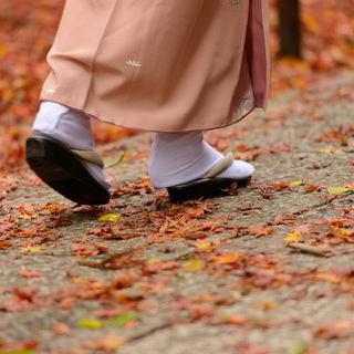 レンタルもあるよ♪ 着物で周る、京都の紅葉巡り1日モデルプラン