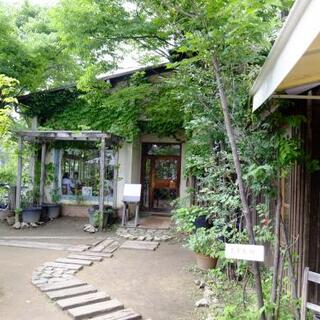 30年以上愛され続けるお店。奈良の『くるみの木』に行ってきたよ♪