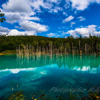 【北海道】日本で最も美しい村 ～美瑛町・鶴居村～編