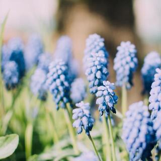 人間関係がきっとうまくいく。社会人として大切にしたい11のマナー