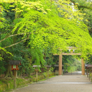 荘厳な雰囲気漂う日本最古の神社を訪れませんか ～奈良県・石上神宮のみどころ～