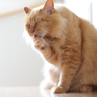 背伸びしない、比べない。「ありのままの自分」を好きになる方法