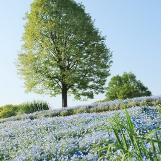 晴れたら行きたいね！のんびり緑に癒される「大きな公園&周辺おすすめスポット」in東京