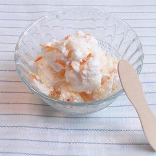毎日食べたいから手作りしよう♪【ヘルシーアイスクリーム】レシピ