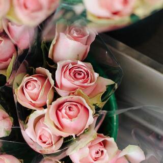 好きな人もそうでない人も 毎日の生活に取り入れたい ピンク色 の不思議な力 キナリノ