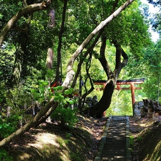 緑の丘とキャンパスと。気ままに歩く“わたしの京都旅”