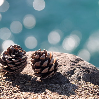 晴れの日、雨の日、くもりの日。お天気に逆らわないポジティブな過ごし方