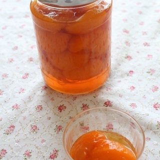 旬の味を召し上がれ♪ 【あんず/すもも】のコンポートを楽しもう