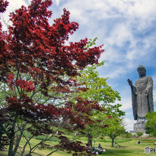 世界一大きなブロンズ製大仏「牛久大仏」のお膝元で、自然とふれあう癒しの休日を♪