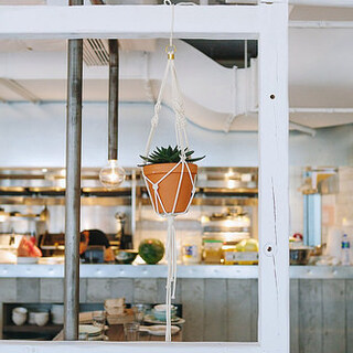 DIY♪プラントハンガーを作って植物をお部屋に招こう