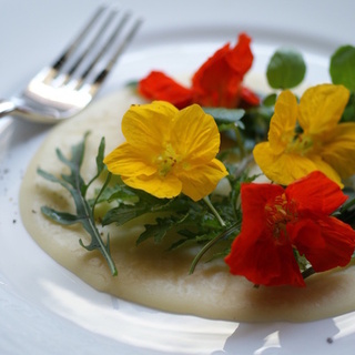 春の味わい すみれの花の砂糖漬けを作ってみよう キナリノ 春の味わい すみれの花の砂糖漬けを作ってみよう キナリノ