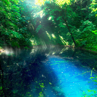 陽射しを浴びて輝く湖沼群を見に行きませんか?世界遺産白神山地「十二湖」のみどころ