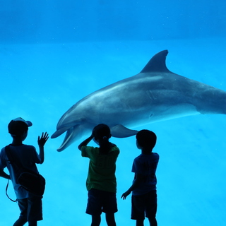 名古屋観光で訪れたい定番スポットと、おしゃれカフェ＆レストラン♪