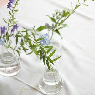 花のある生活を送りませんか？この夏から始める《丁寧な暮らし》