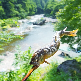 今が旬♪夏の味覚【鮎】をいただこう！「塩焼き」を上手に食べるコツとおすすめ7店