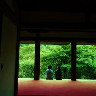 深緑も。清流も。世界遺産も。三尾を訪ねる“わたしの京都旅”