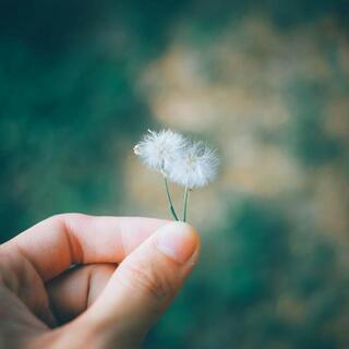 お礼が出来る人は愛され上手。お世話になったあの人へ感謝の気持ちを伝えよう