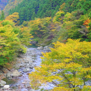 【四国地方】日本で最も美しい村 ~徳島県上勝町編~
