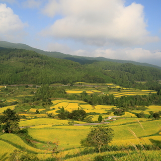 【四国地方】日本で最も美しい村　 ～愛媛県上島町・高知県馬路村・高知県本山町編～