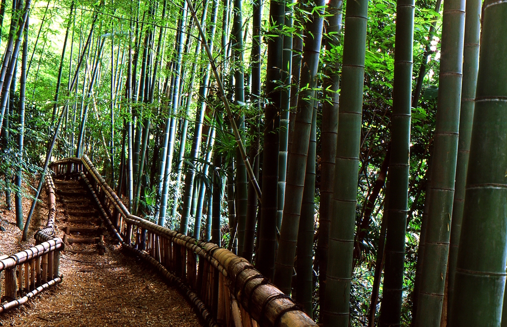 疲れたあなたを癒したい 一人で訪れる都内のヒーリングスポット キナリノ